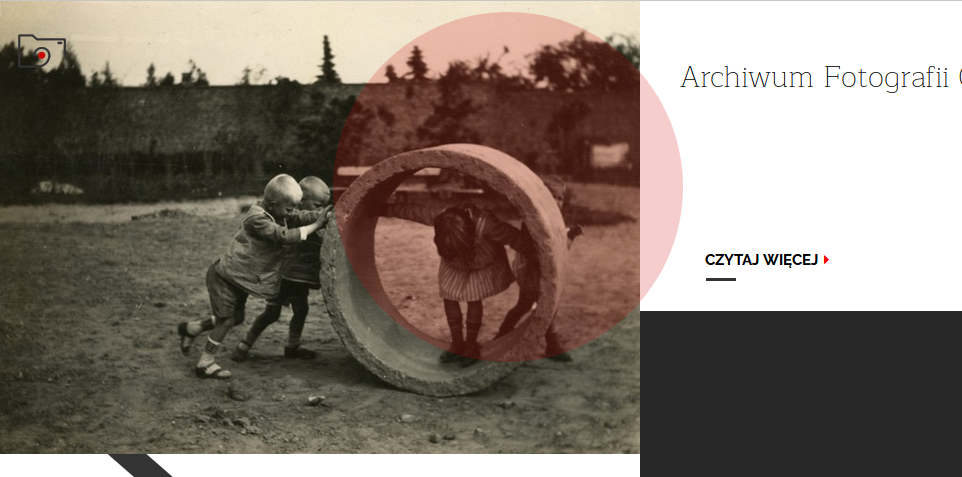 Screenshot der Website des Archivs