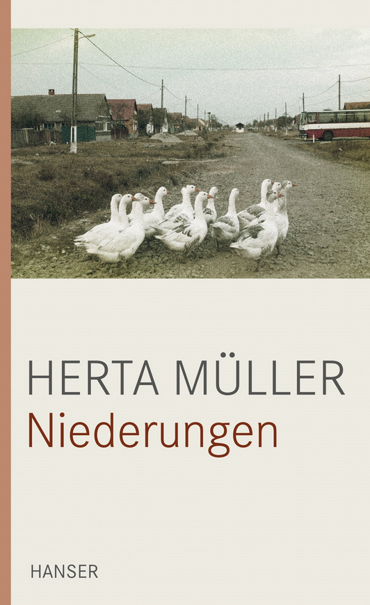 Buchcover "Niederungen", Hanser Verlag