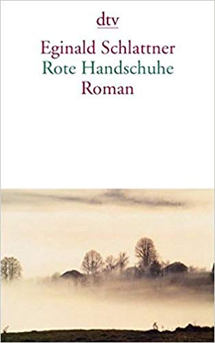 Cover des Buches "Rote Handschuhe", Deutscher Taschenbuchverlag